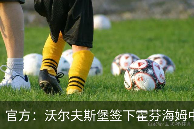 官方：沃尔夫斯堡签下霍芬海姆中场达马尔，双方签约至2031年
