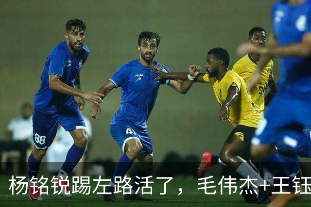 杨铭锐踢左路活了，毛伟杰+王钰栋国足未来双雄，大连3将身背3黄
