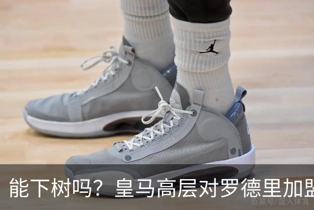 能下树吗？皇马高层对罗德里加盟心存疑虑，赞助商和球迷极力支持